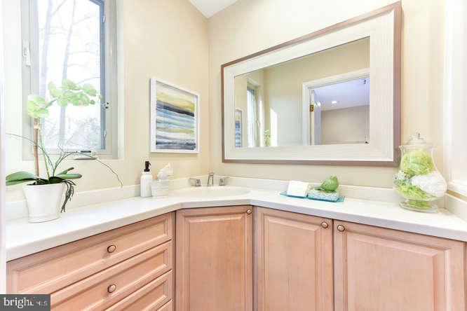 11803 Tree Fern Court Reston, VA 20191 - Photo 17 of 38 Sunny Master Bath