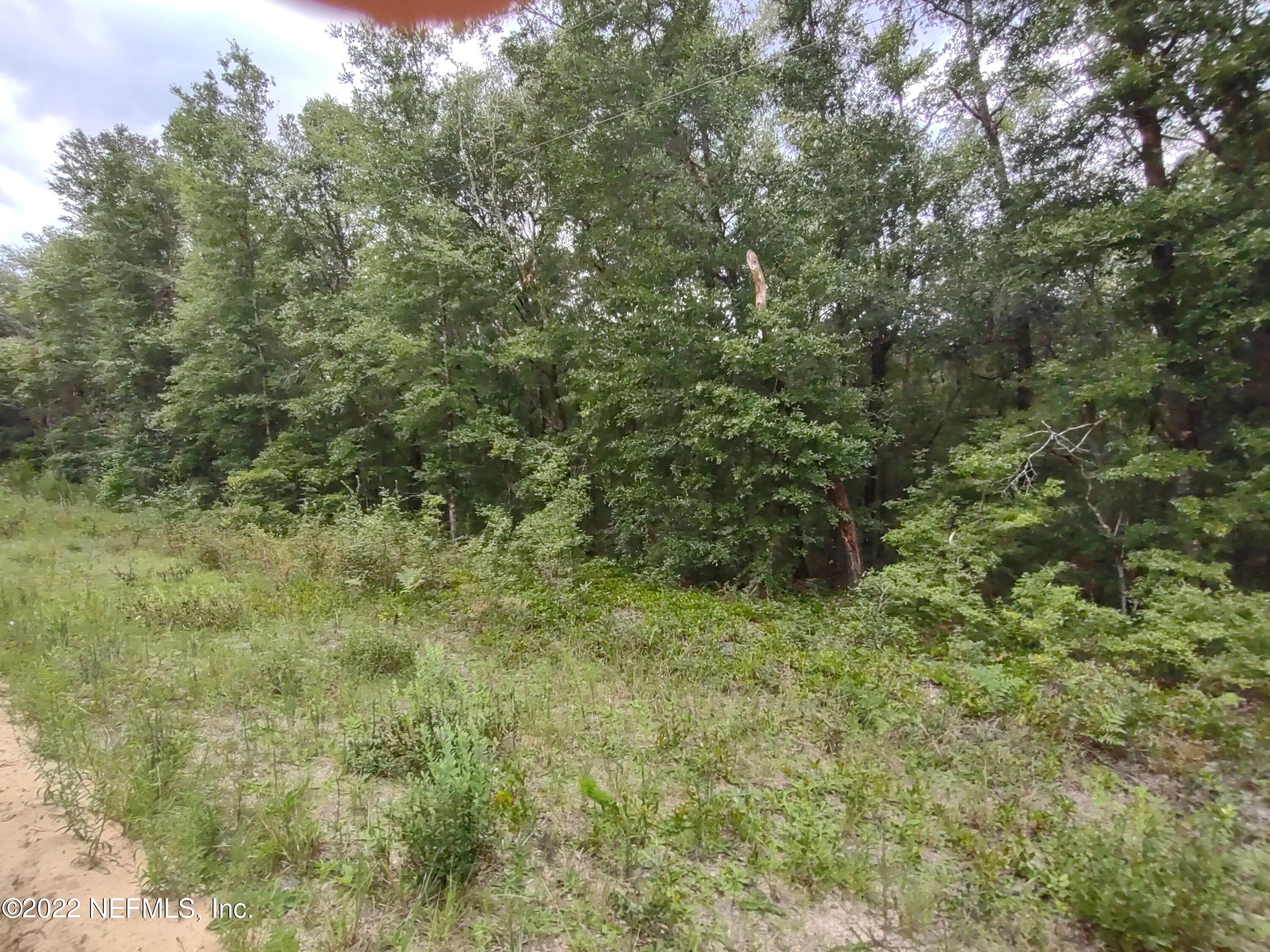 24 Neilsen Avenue Interlachen, FL 32148 - Photo 1 of 3 24 NEILSEN AVE
