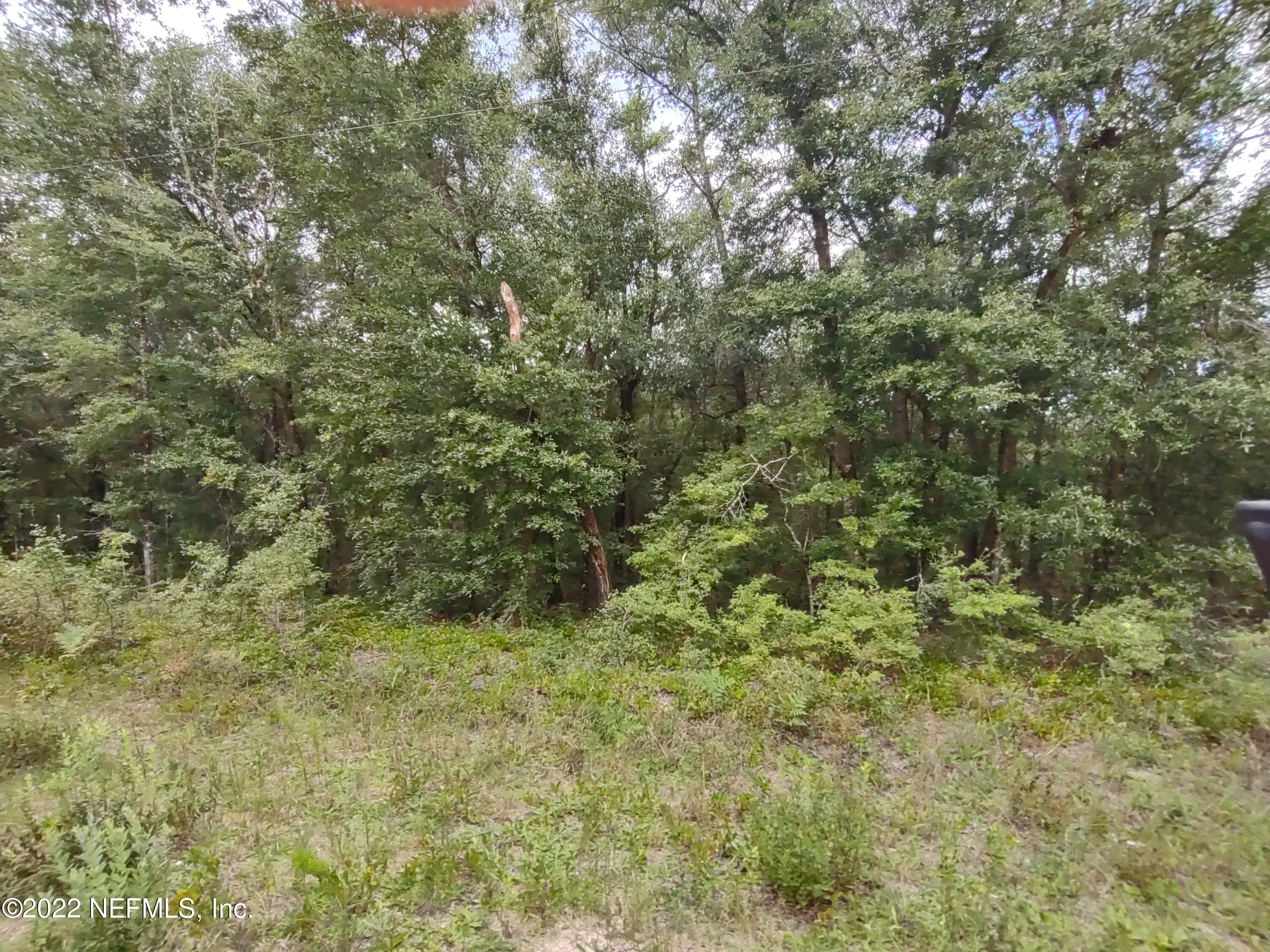 24 Neilsen Avenue Interlachen, FL 32148 - Photo 2 of 3 NEILSON AVE 2