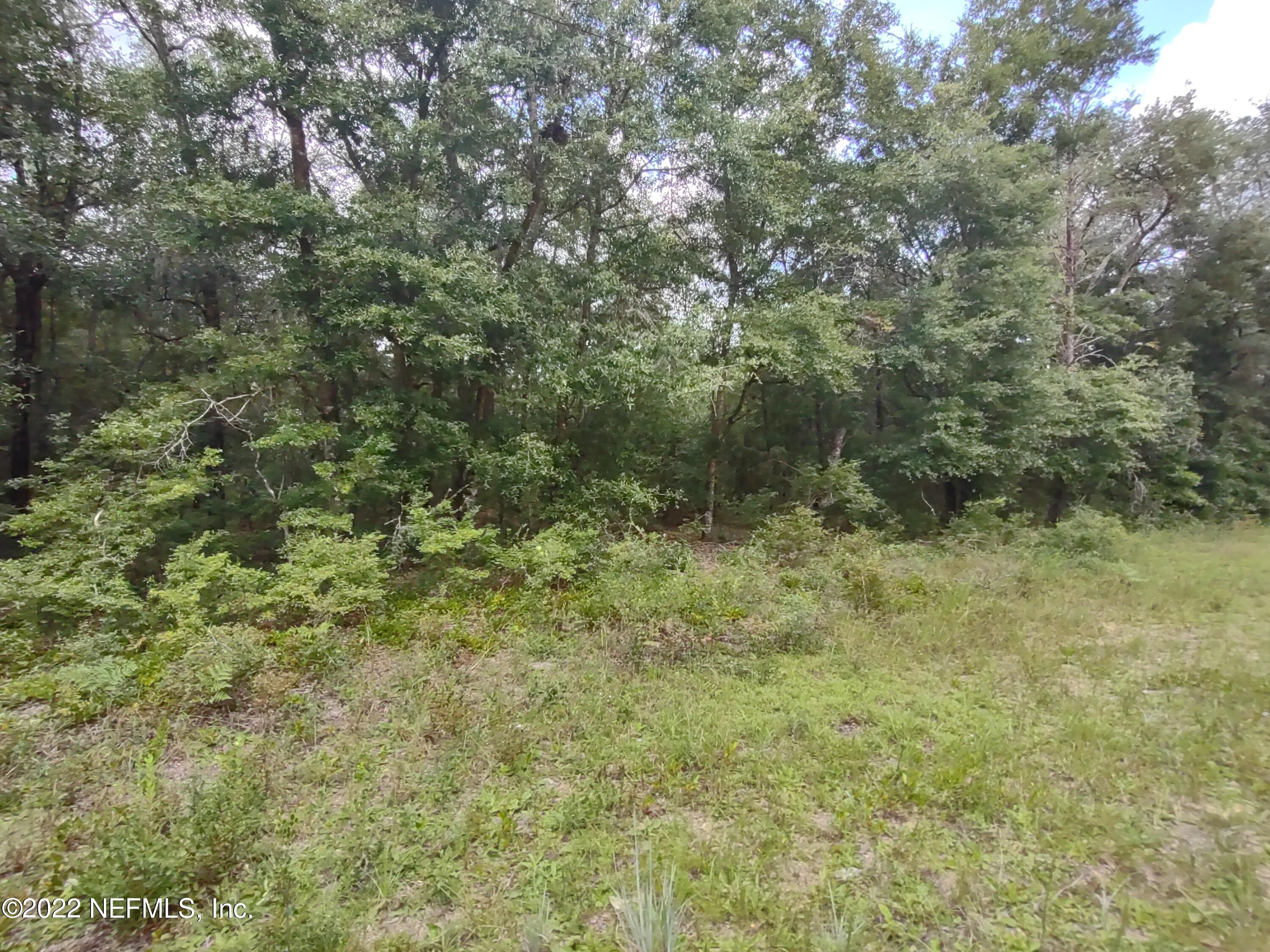 24 Neilsen Avenue Interlachen, FL 32148 - Photo 3 of 3 NEILSEN AVE 1