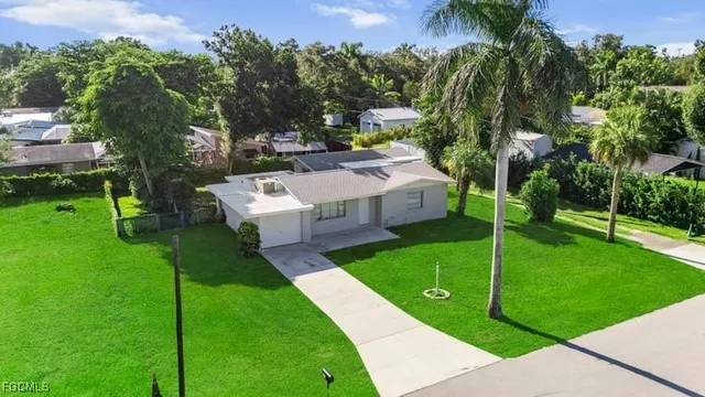 a view of a garden with plants