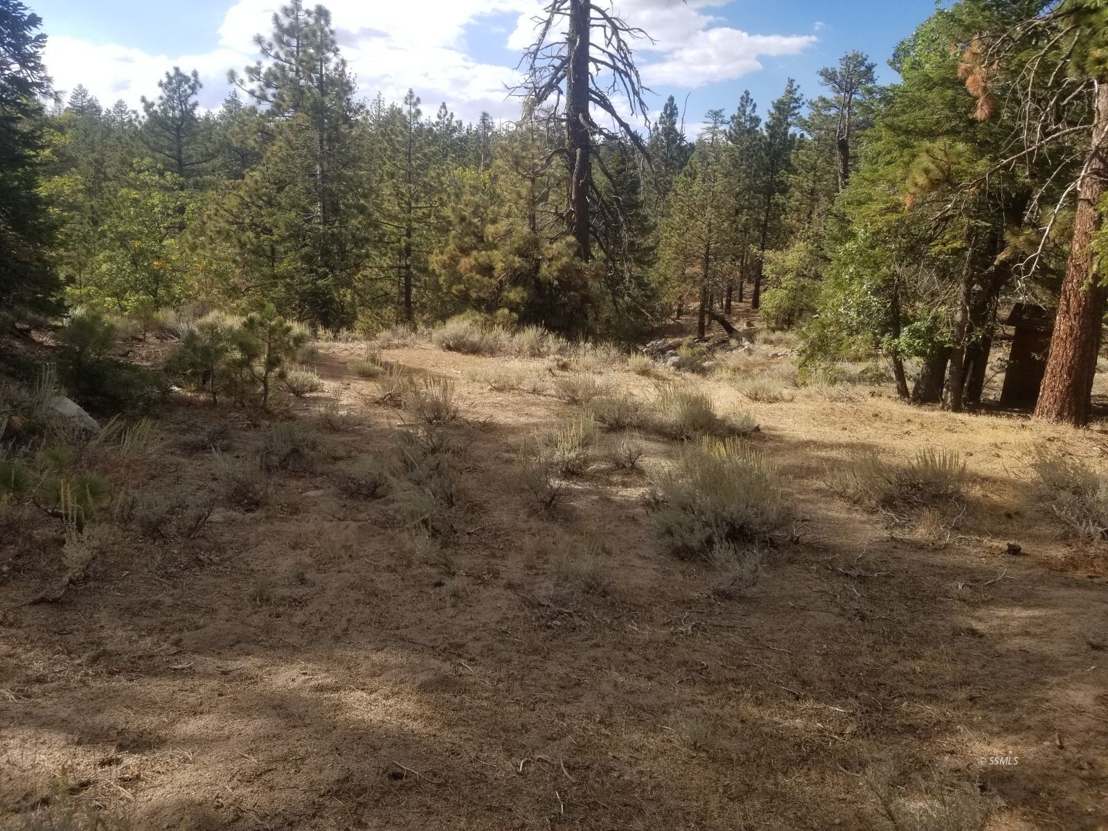 Piute Pines Caliente, CA 93518 - Photo 15 of 26