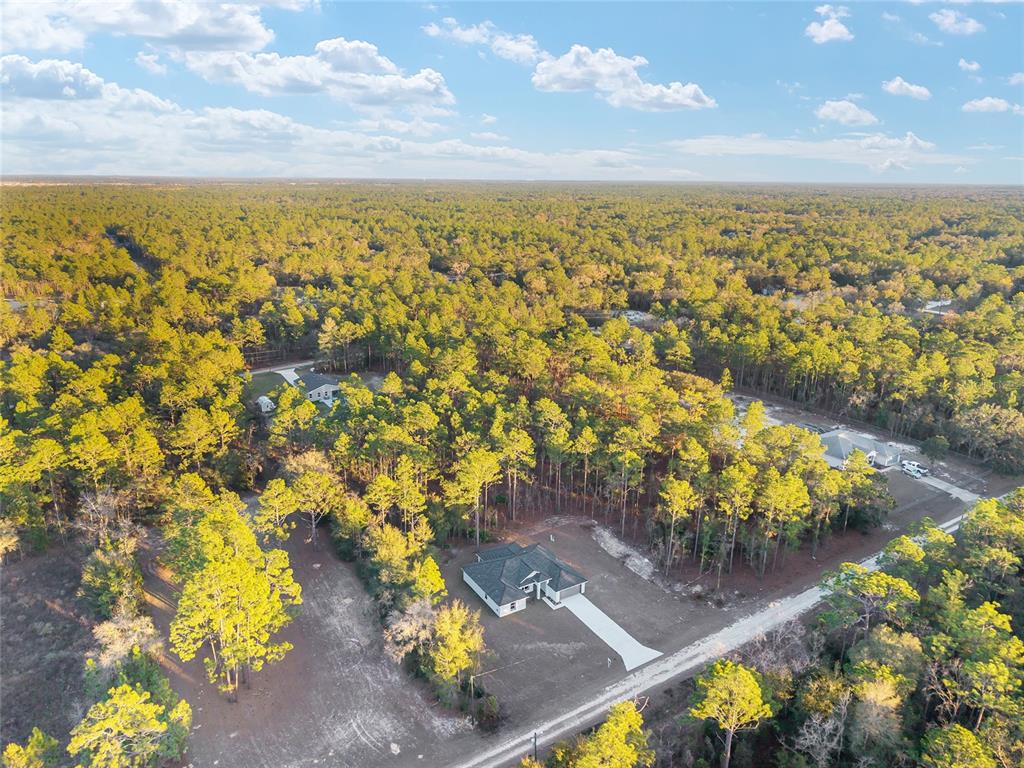 8725 Southwest 136th Terrace Dunnellon, FL 34432 - Photo 69 of 78 view of city