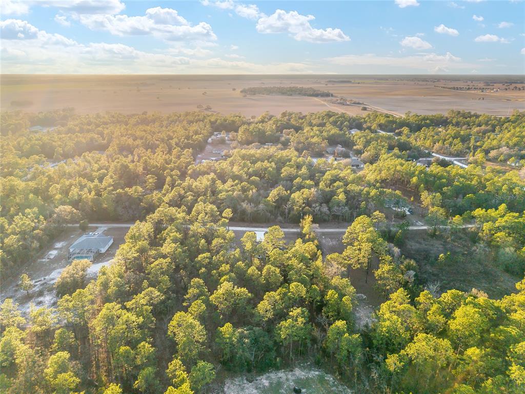 8725 Southwest 136th Terrace Dunnellon, FL 34432 - Photo 74 of 78