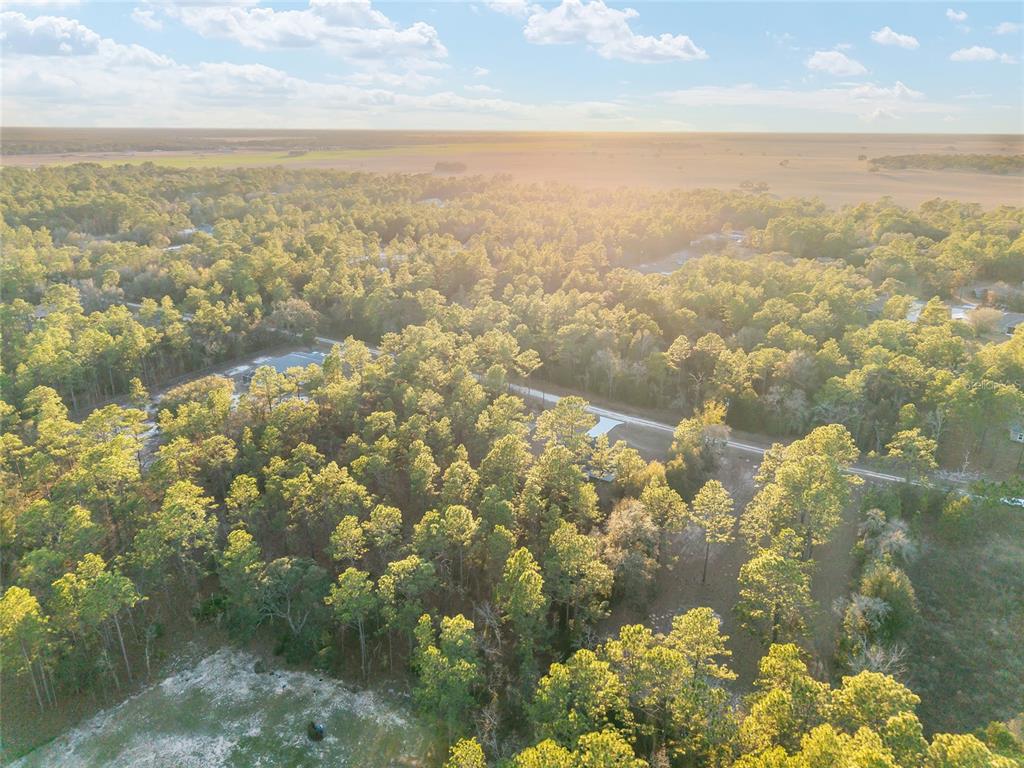 8725 Southwest 136th Terrace Dunnellon, FL 34432 - Photo 77 of 78 a view of city and mountain