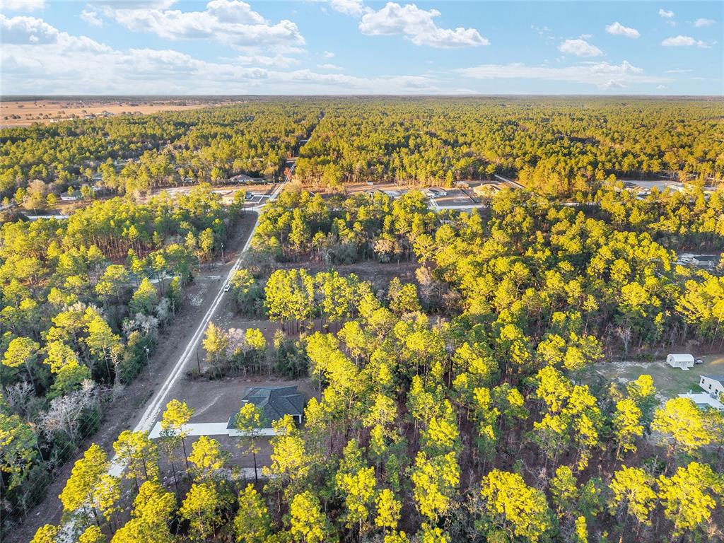 8725 Southwest 136th Terrace Dunnellon, FL 34432 - Photo 78 of 78