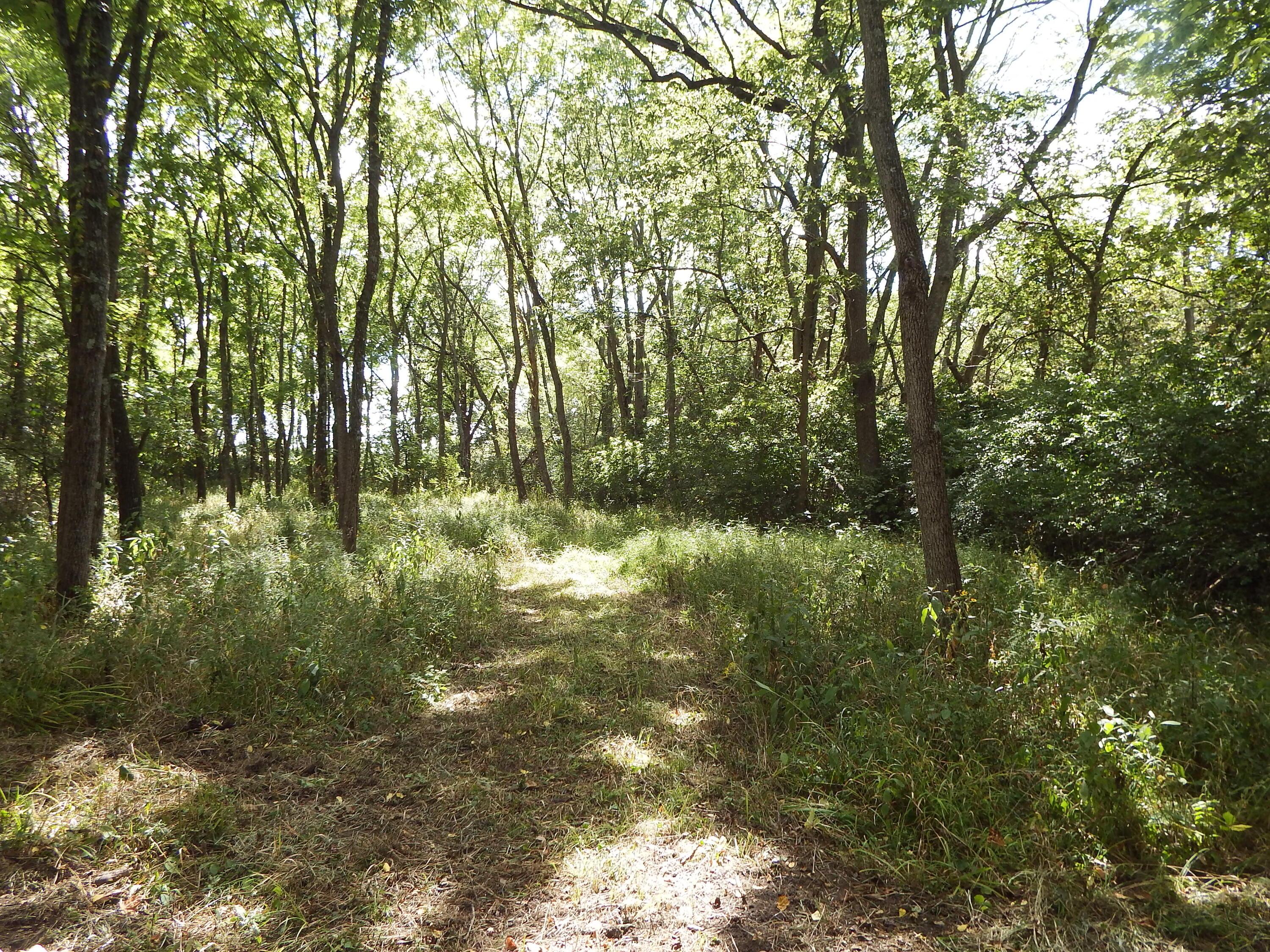 23604 Smith Hulse Road Circleville, OH 43113 - Photo 53 of 75 DSCF5148