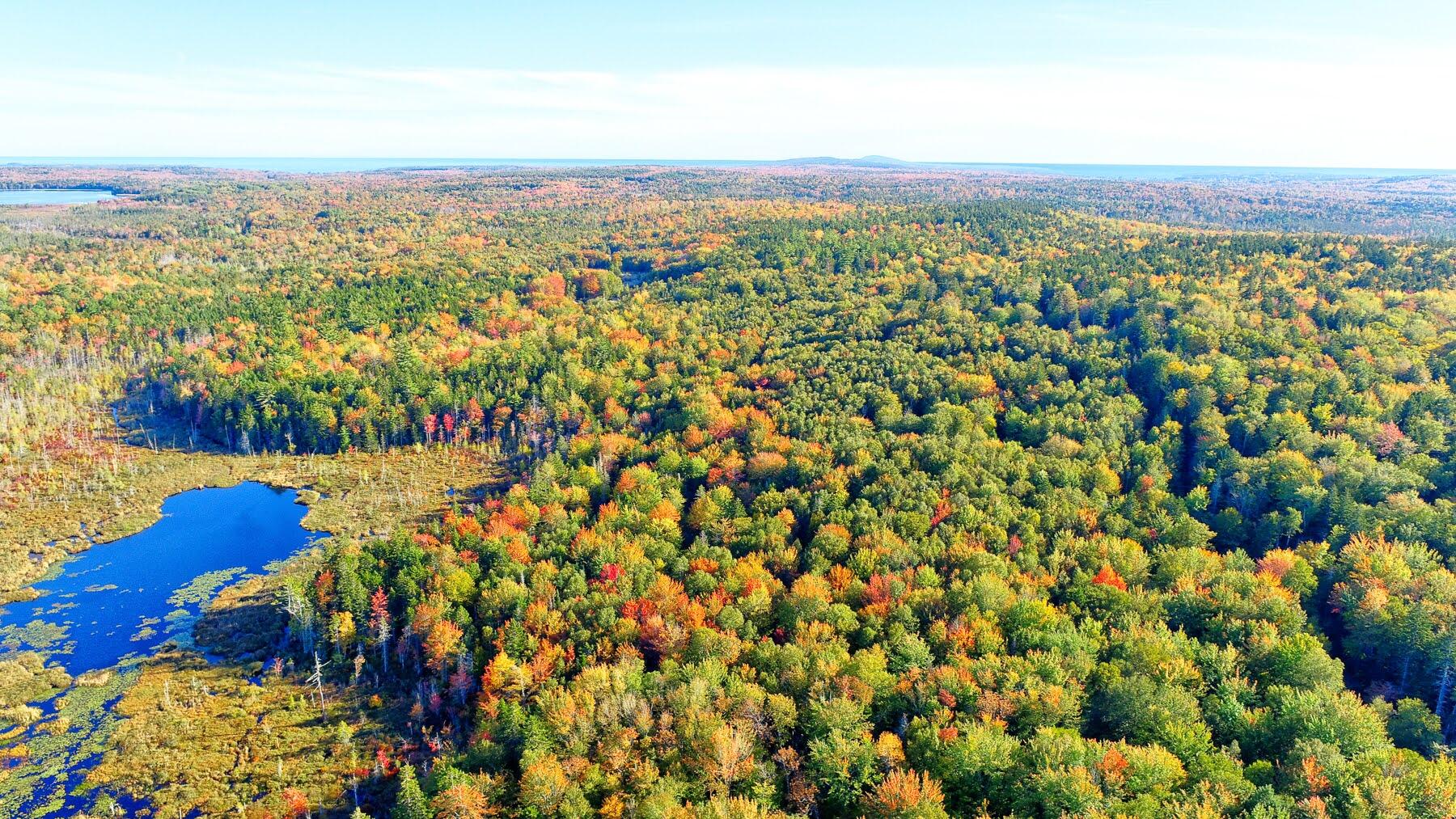0 McMahon Road Gouldsboro, ME 04607 - Photo 3 of 15 Acreage