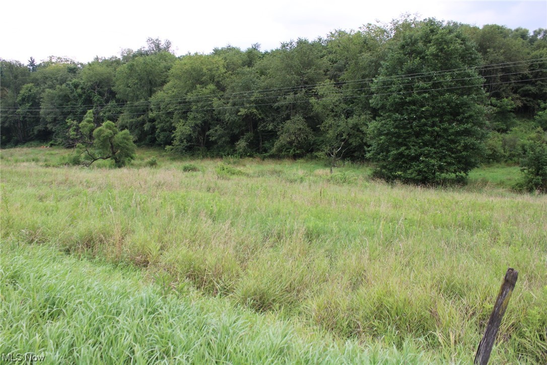 5 Fargo Road Southwest Dellroy, OH 44620 - Photo 1 of 1