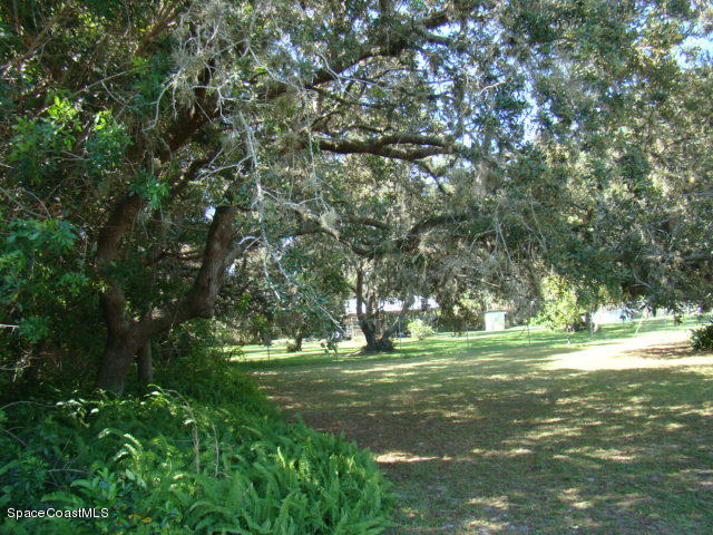 3434 Brevard Road Mims, FL 32754 - Photo 5 of 46 3434 Brevard Rd (35)