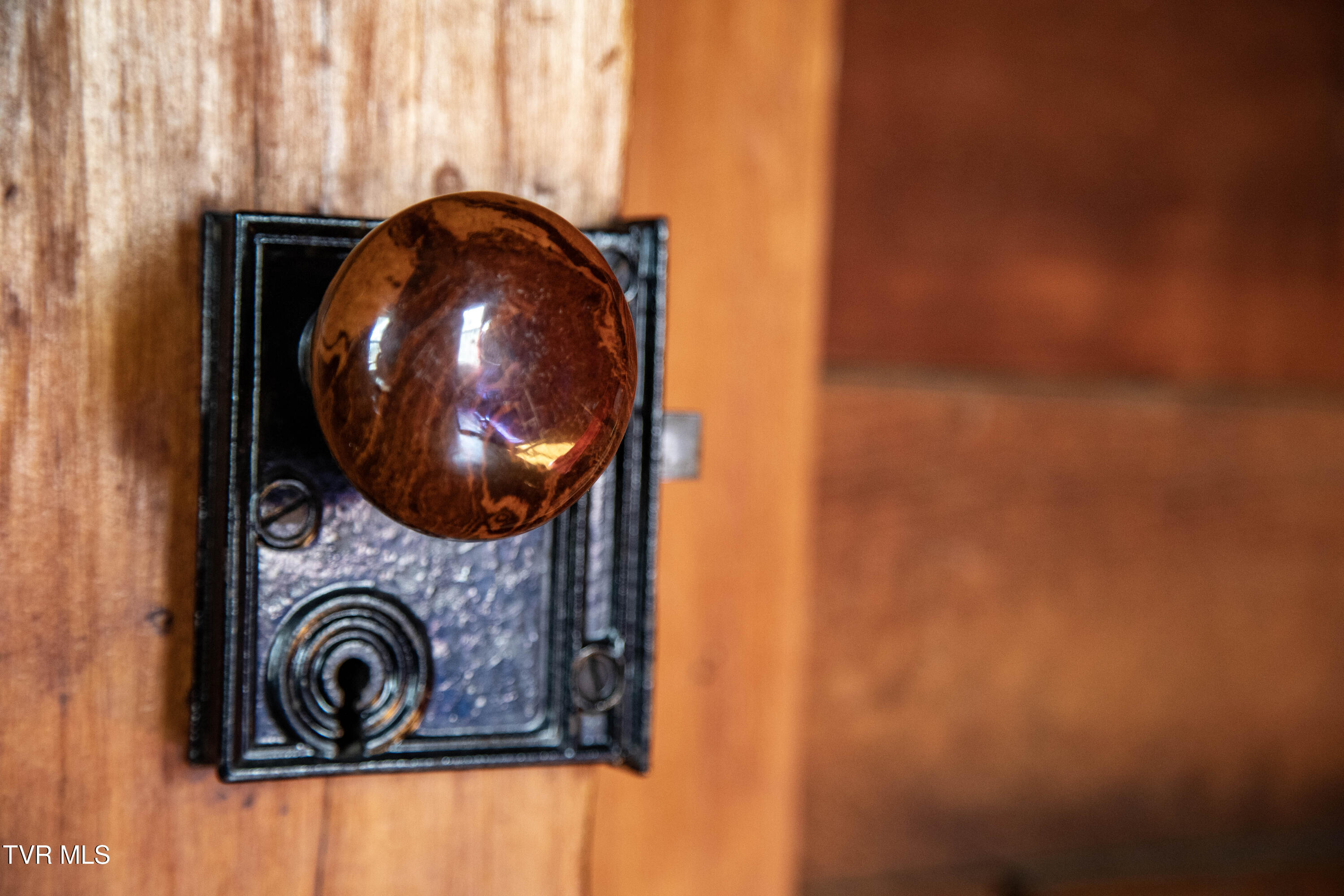 20217 Shadowood Circle Meadowview, VA 24361 - Photo 24 of 69 door knob