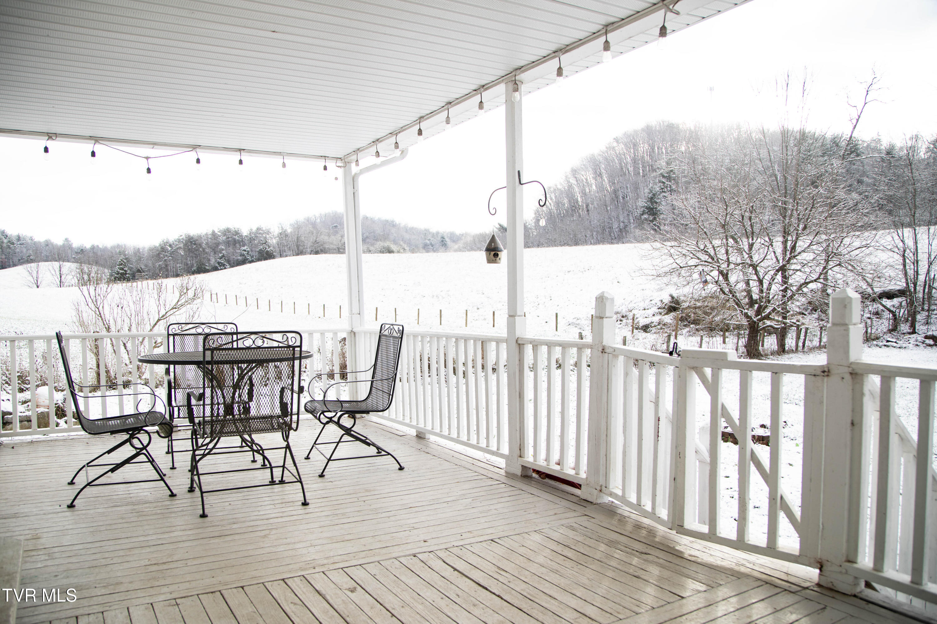 20217 Shadowood Circle Meadowview, VA 24361 - Photo 64 of 69 3