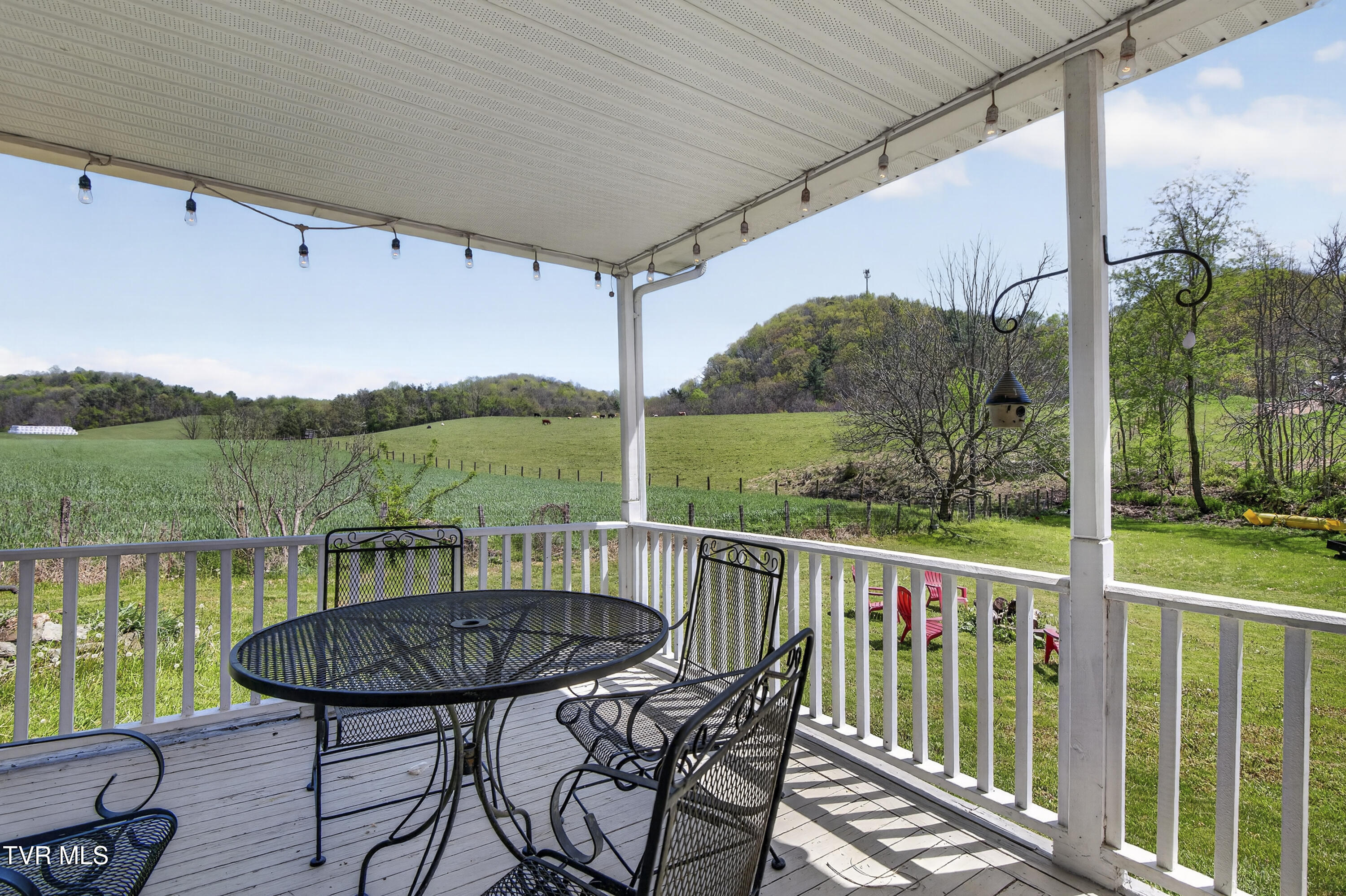 20217 Shadowood Circle Meadowview, VA 24361 - Photo 7 of 69 20217-Shadowwood-Circle-Meadowview-VA Cy