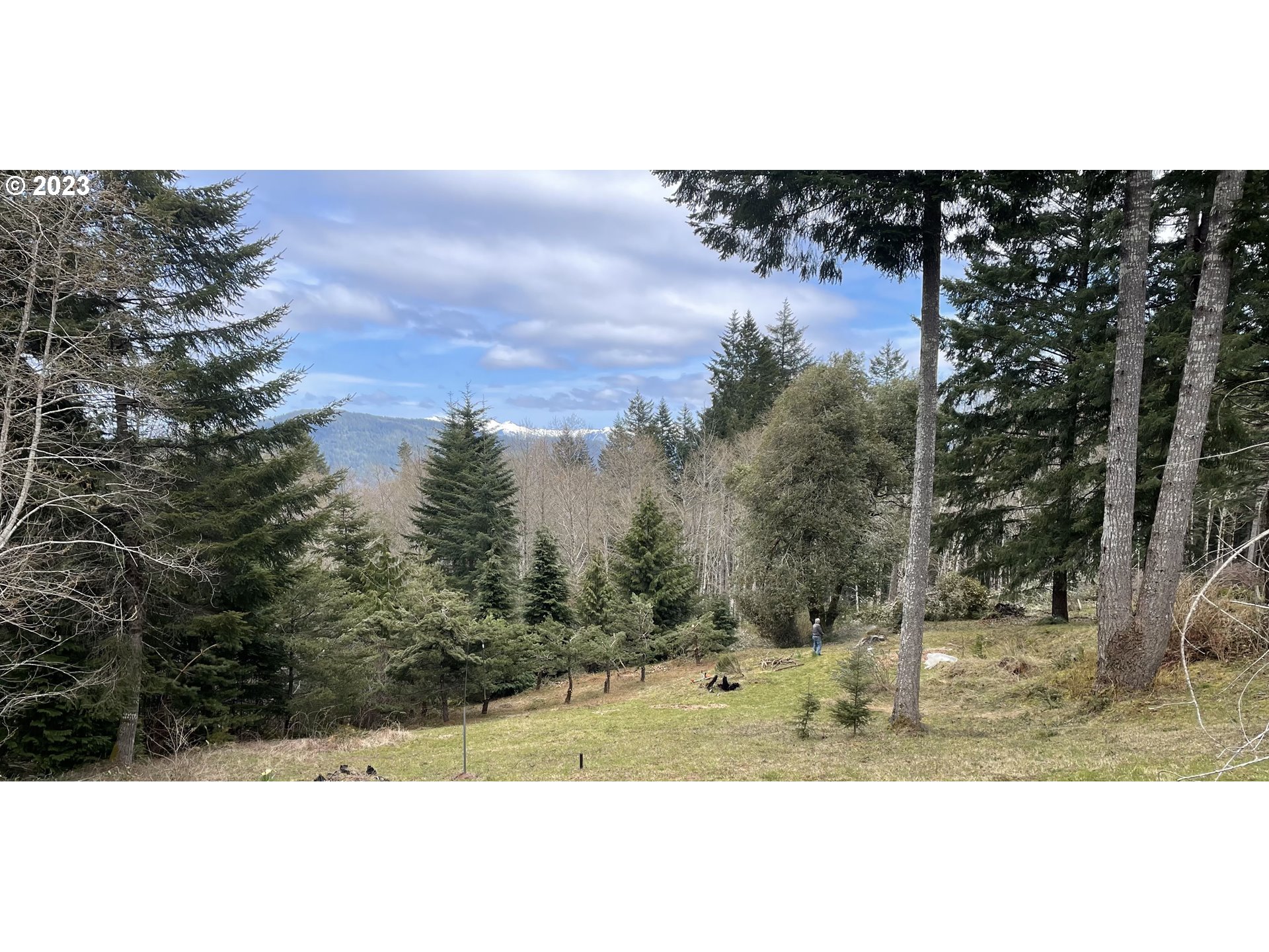 97313 Stagecoach Road Brookings, OR 97415 - Photo 13 of 44 a view of a yard