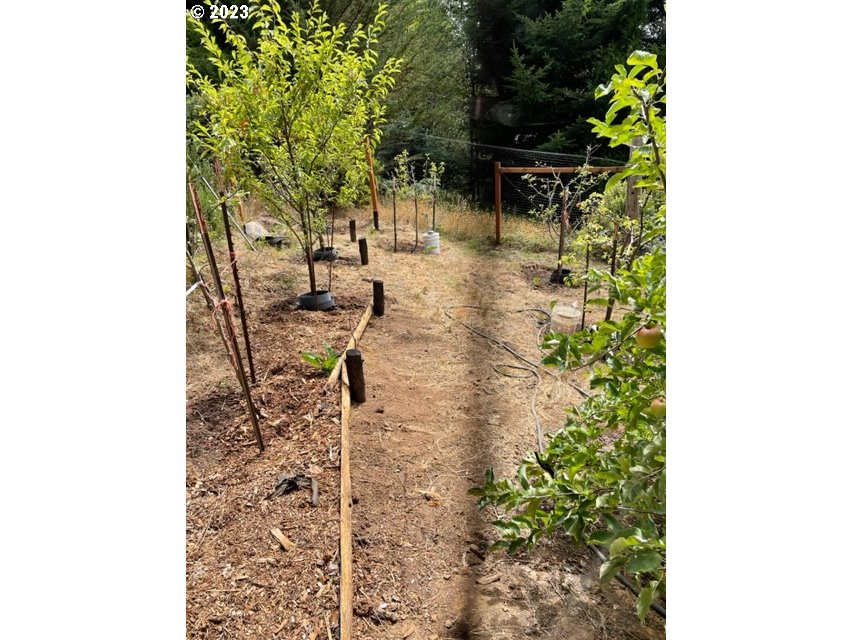 97313 Stagecoach Road Brookings, OR 97415 - Photo 14 of 44 a view of a yard with plants