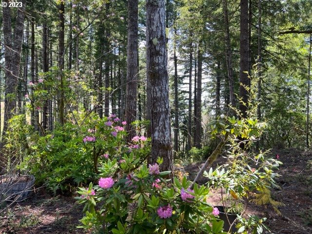 97313 Stagecoach Road Brookings, OR 97415 - Photo 42 of 44 a view of a flower in a garden