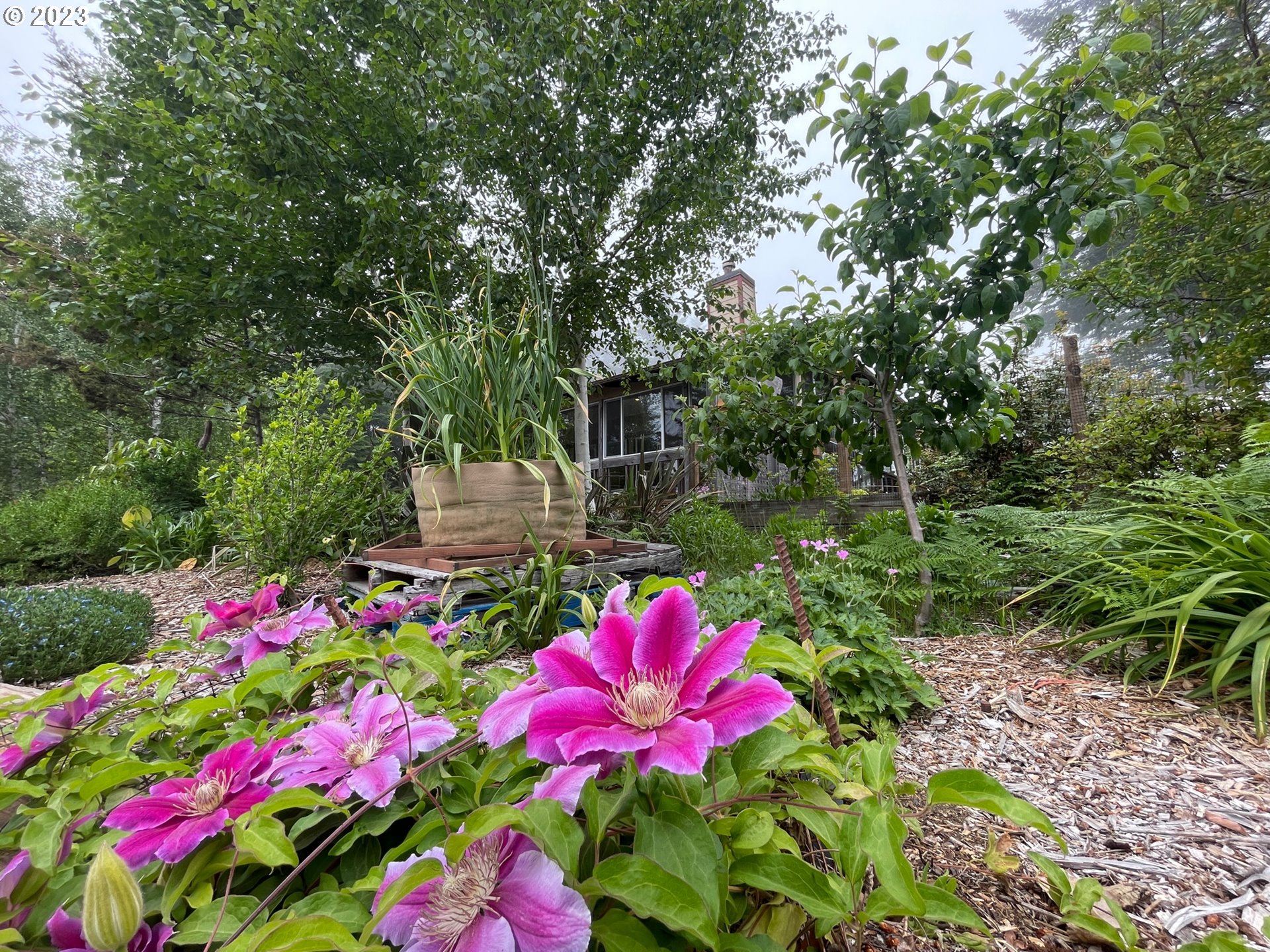 97313 Stagecoach Road Brookings, OR 97415 - Photo 5 of 44 a view of a flower in a garden