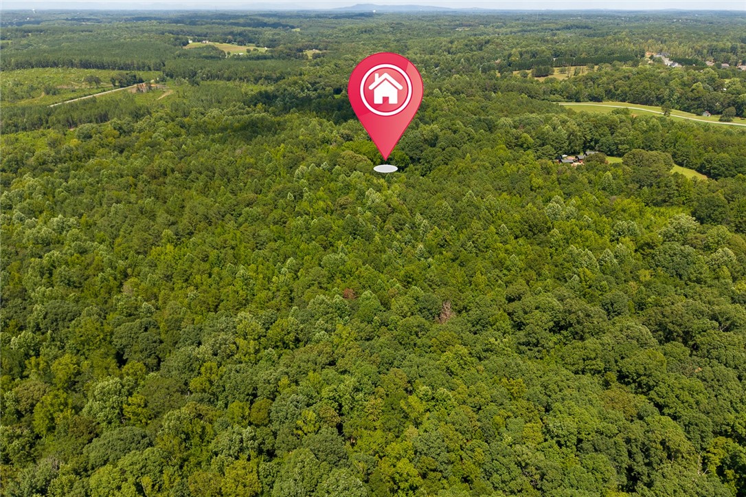 Secure your future homesite amidst a vast, verdant expanse of mature woodland.