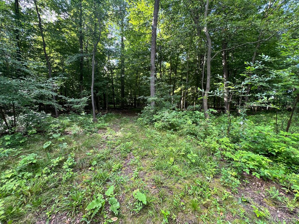0 North Hadley Road Ortonville, MI 48462 - Photo 10 of 13