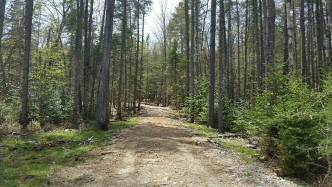 91 Parker Point Road Blue Hill, ME 04614 - Photo 5 of 10 Driveway