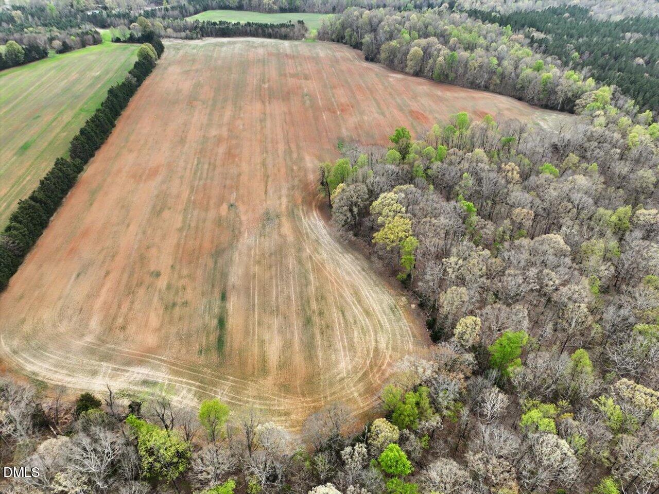 7793 Ridgeville Road Leasburg, NC 27291 - Photo 58 of 91