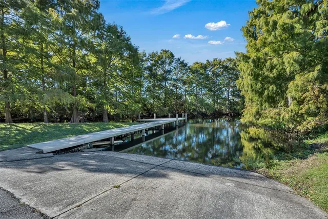 a view of a green yard with large trees