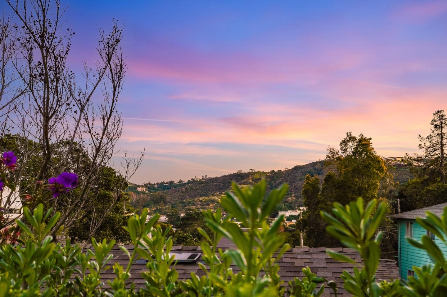 802 Covington Road Belmont, CA 94002 - Photo 25 of 28 a view of a flower in a garden