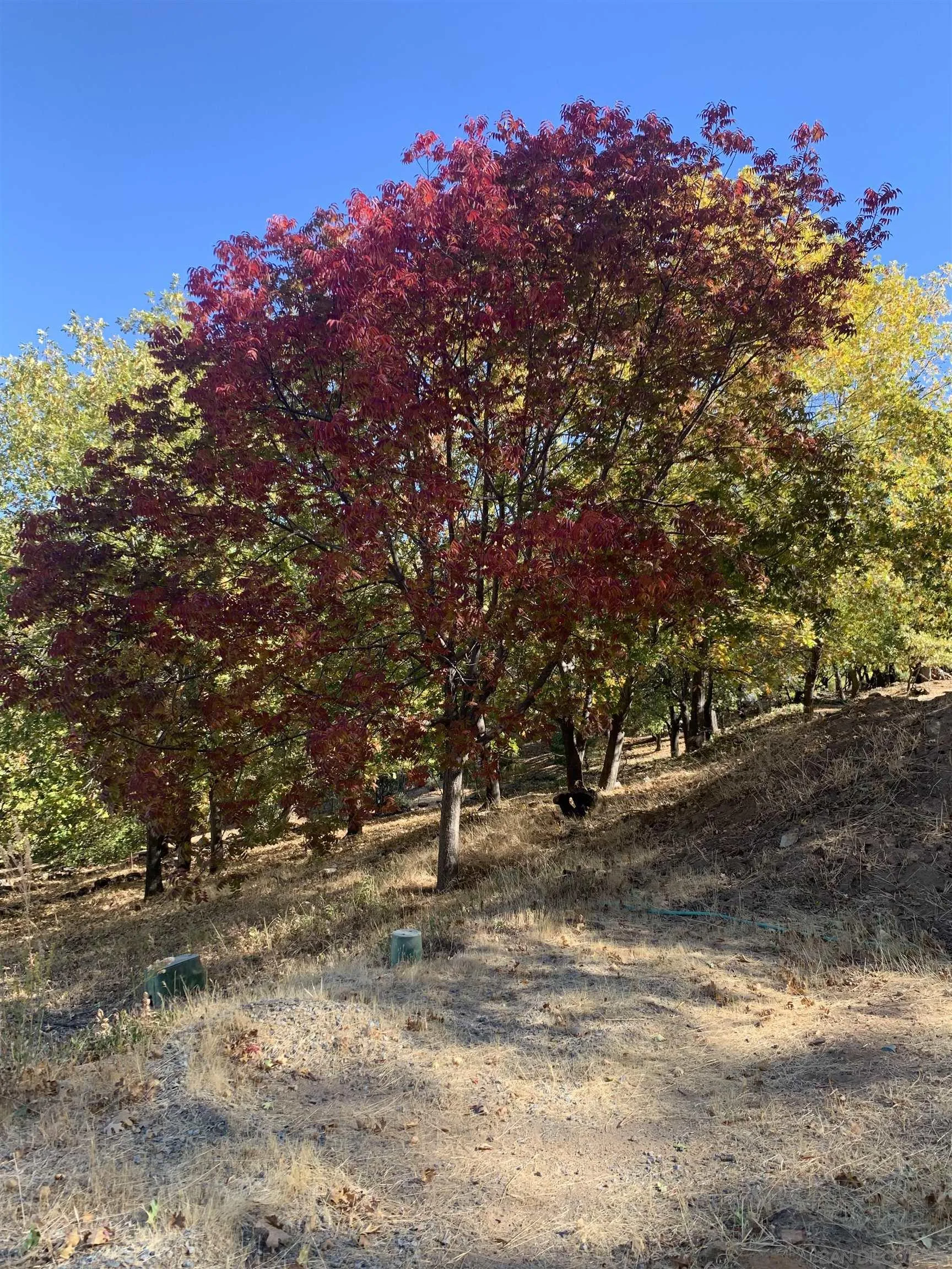 4129 Eagle Peak Road Julian, CA 92036 - Photo 17 of 38