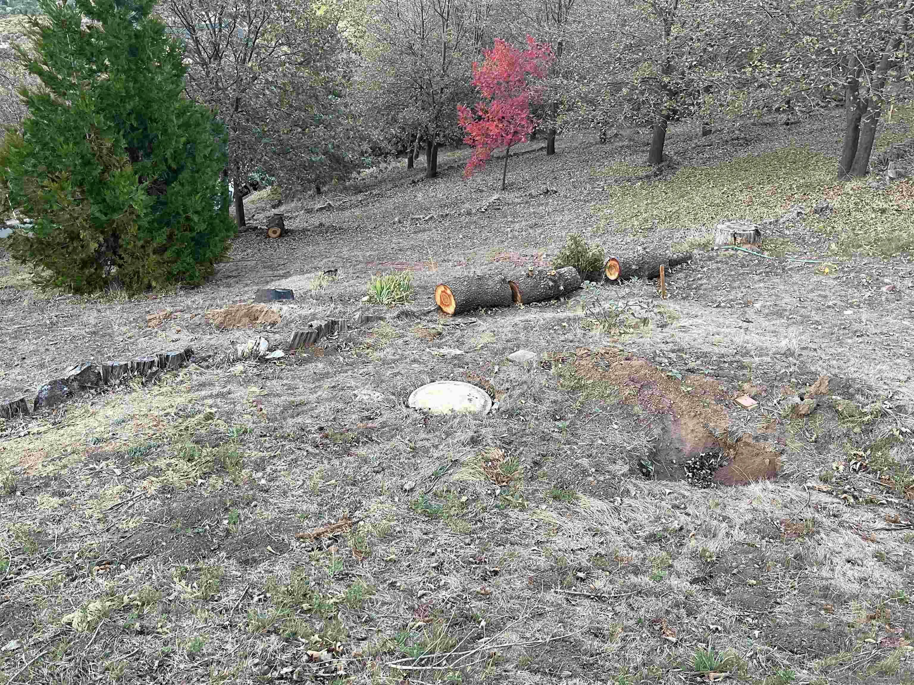 4129 Eagle Peak Road Julian, CA 92036 - Photo 27 of 38 a backyard of a house