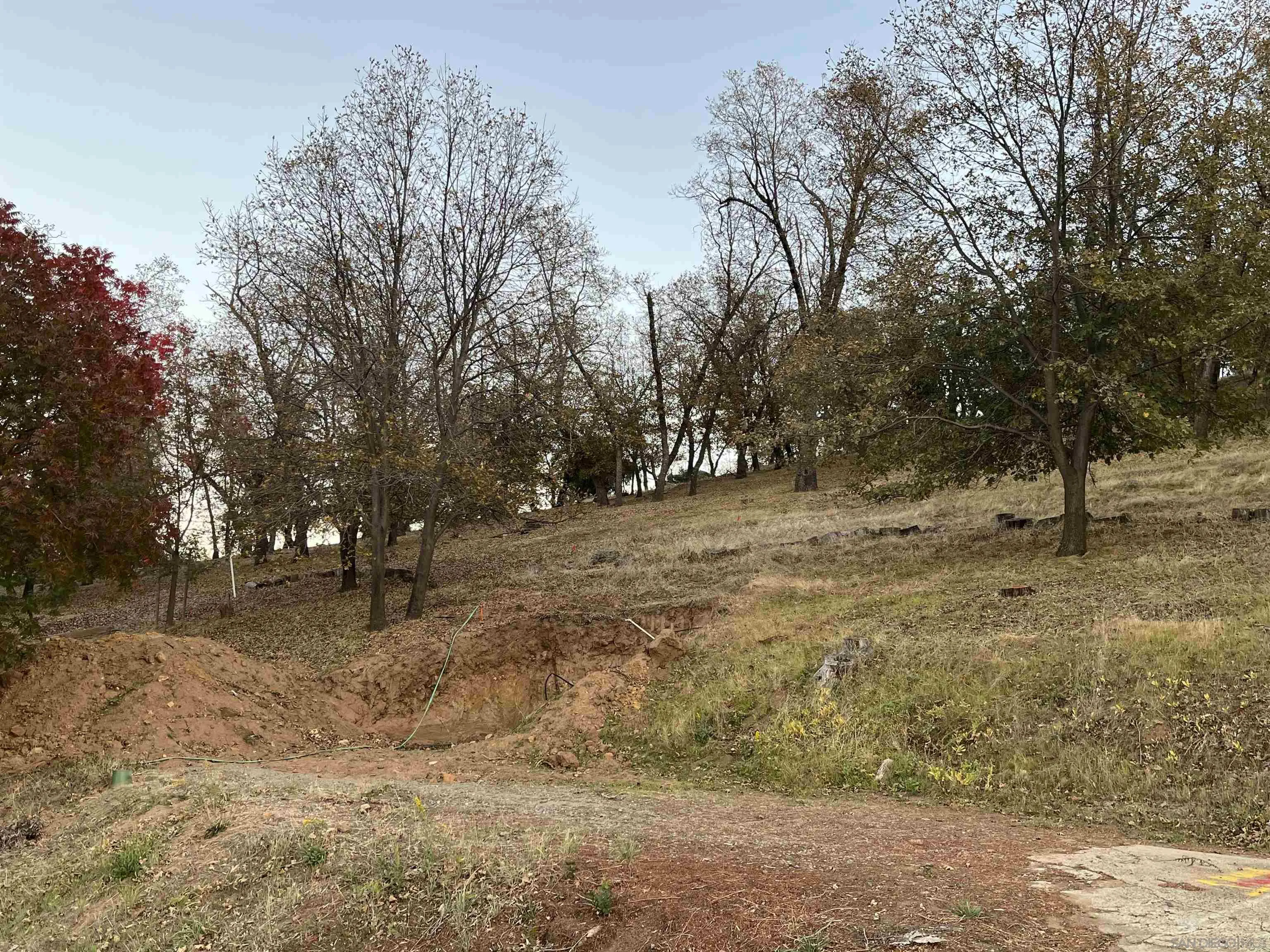 4129 Eagle Peak Road Julian, CA 92036 - Photo 28 of 38 a view of dirt yard with a trees