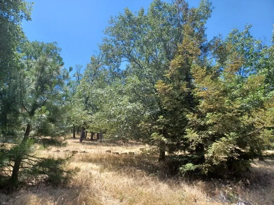 4129 Eagle Peak Road Julian, CA 92036 - Photo 29 of 38 a view of outdoor space and trees