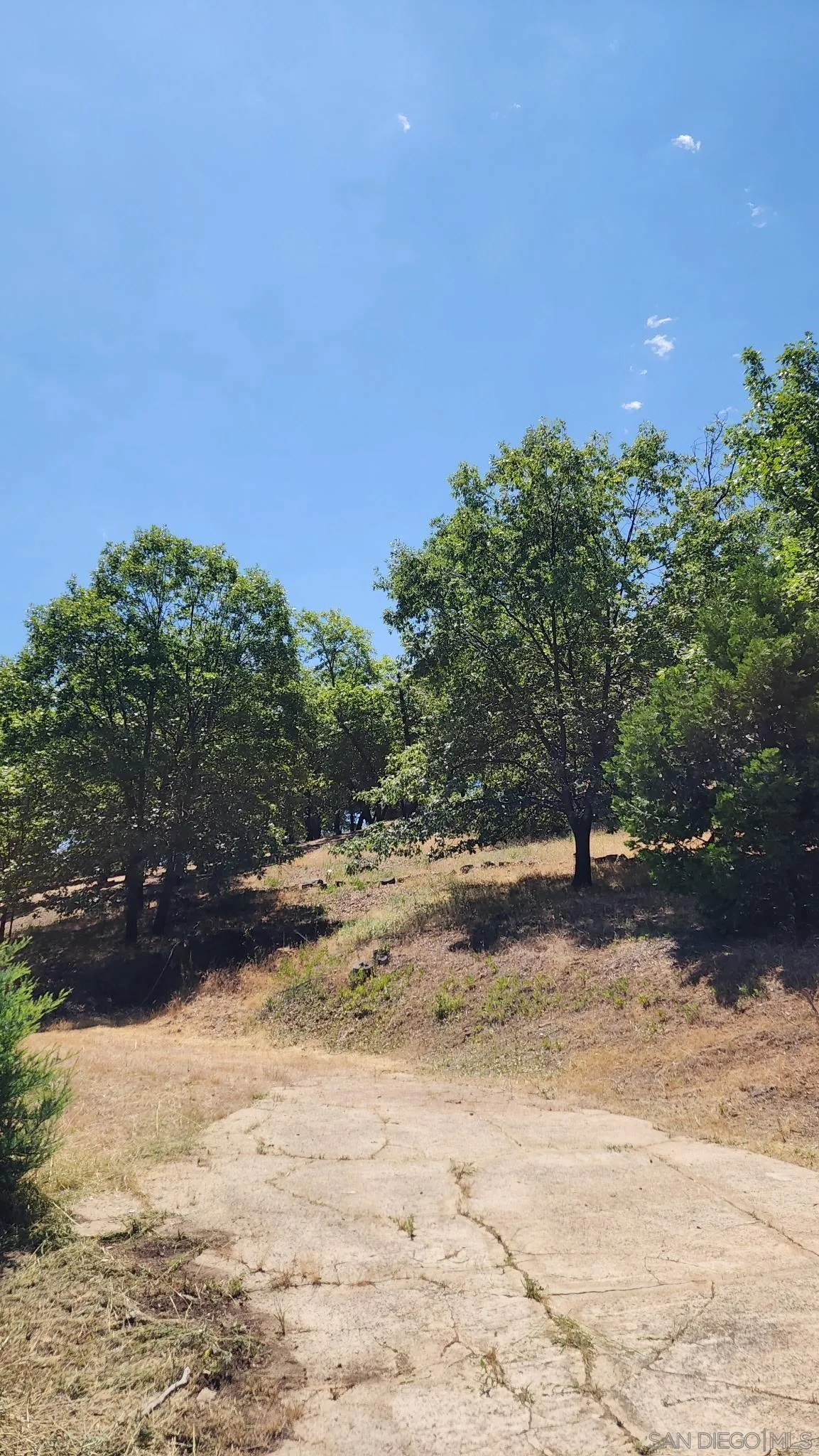 4129 Eagle Peak Road Julian, CA 92036 - Photo 35 of 38 a view of a yard with a tree