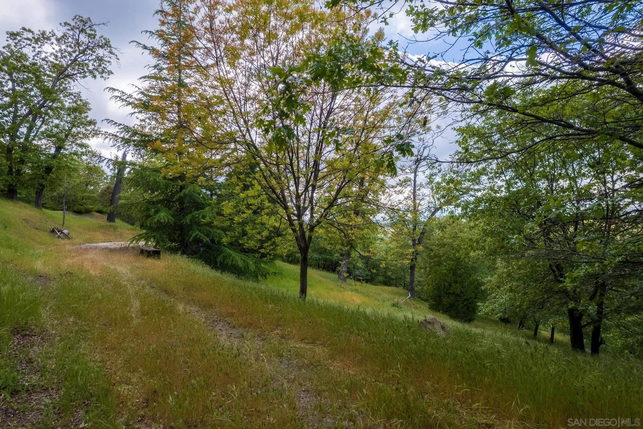 4129 Eagle Peak Road Julian, CA 92036 - Photo 6 of 38 a view of a field with a tree
