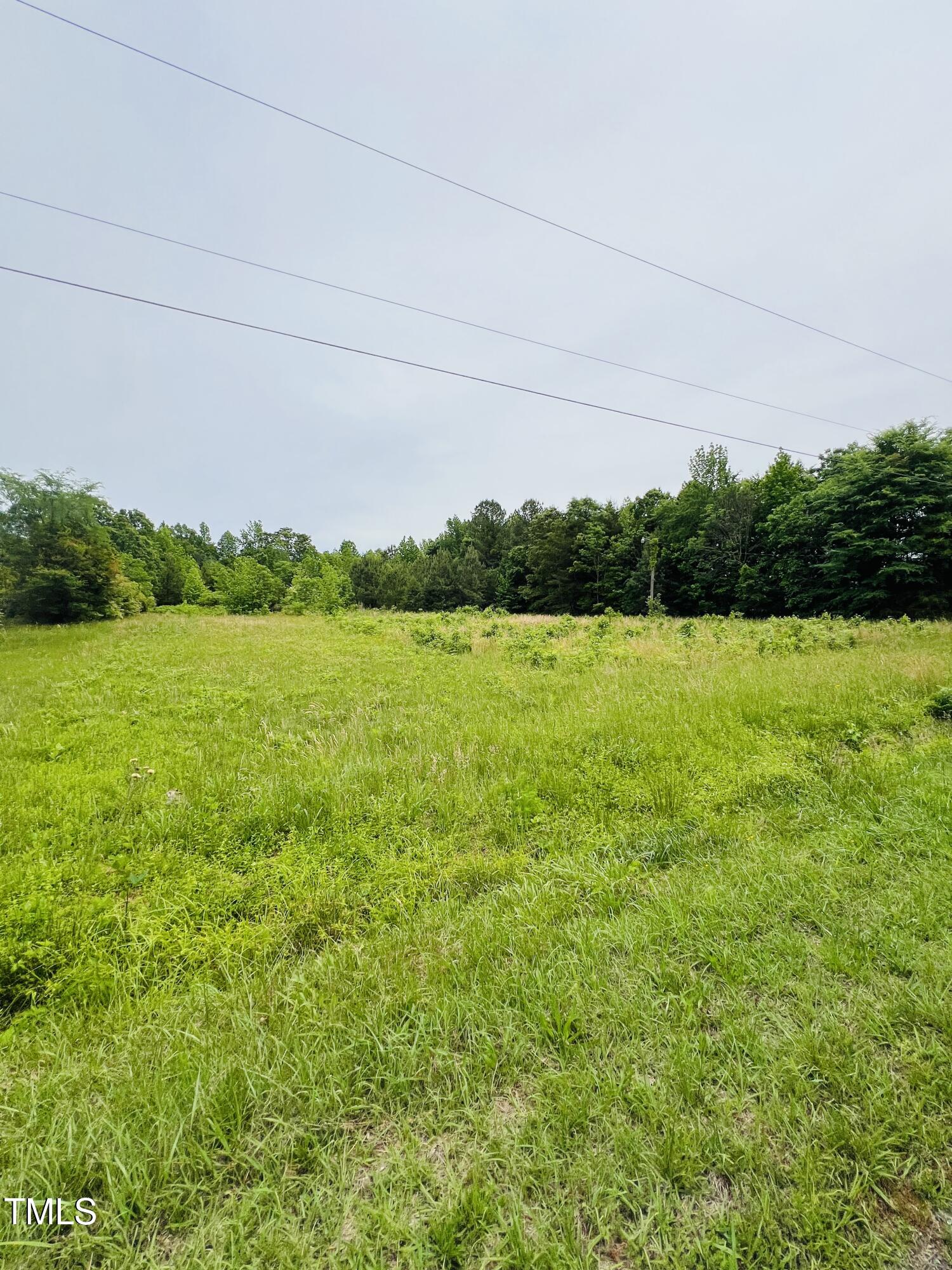 2007 Miles Chapel Road Mebane, NC 27302 - Photo 6 of 8 31728_Image_6