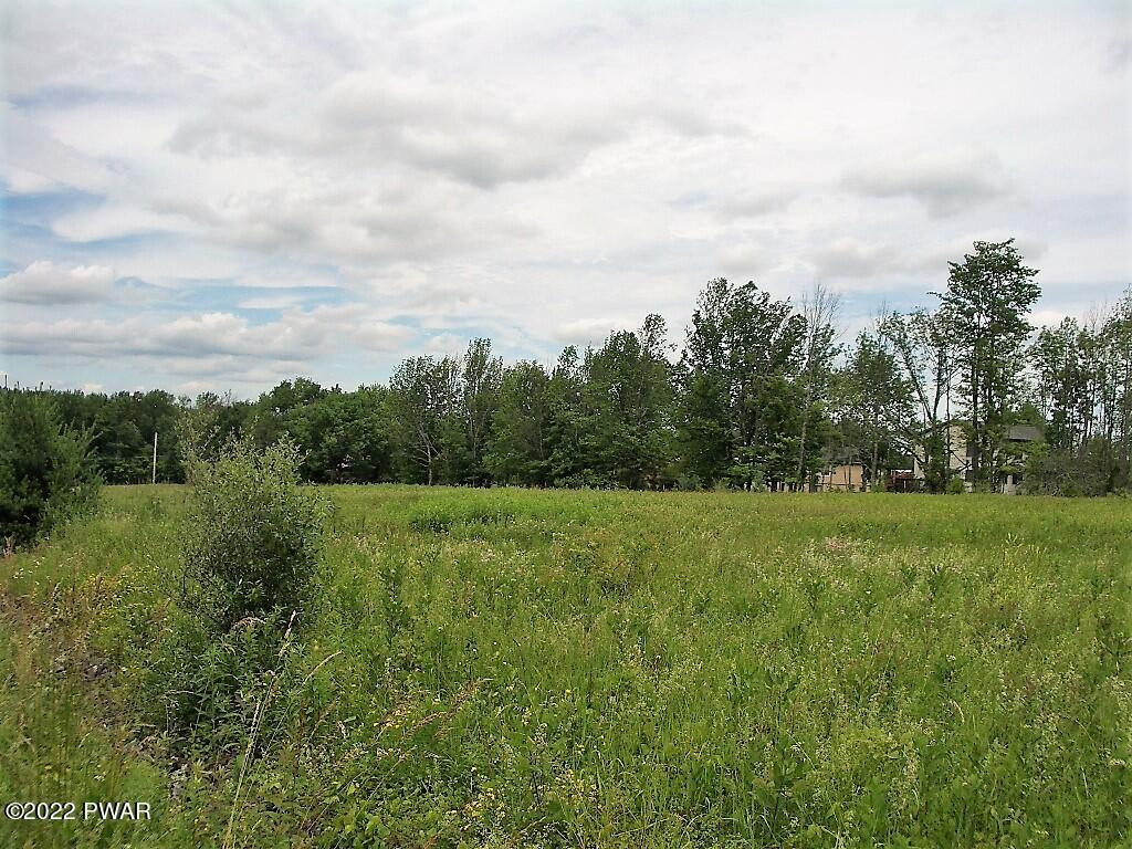 Lot 2 Avoy Heights Road Lake Ariel, PA 18436 - Photo 9 of 9