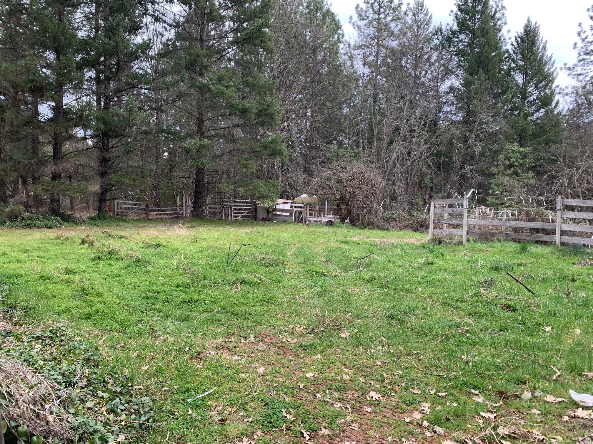 877 Crow Road Merlin, OR 97532 - Photo 25 of 25 IMG_2457