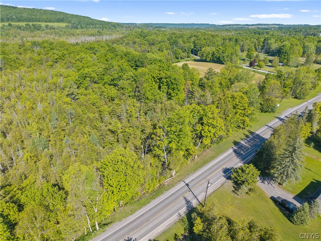 Nelson Road Cazenovia, NY 13035 - Photo 6 of 15
