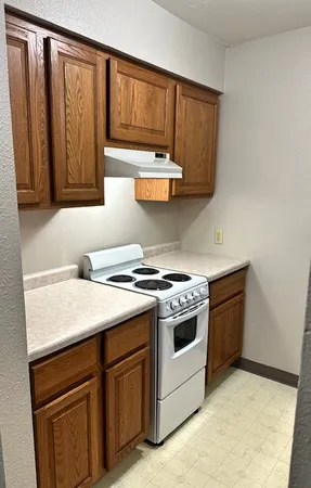 a kitchen with a stove and a sink