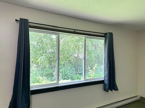 a view of a garden from a window