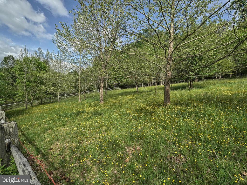 2131 Dixon Road Frederick, MD 21704 - Photo 59 of 65