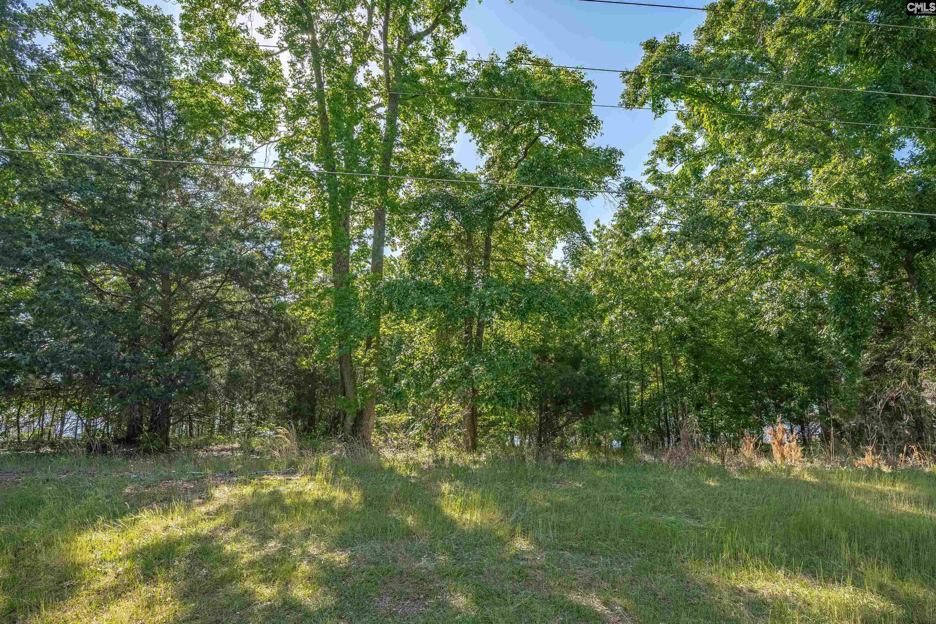 2022 Lake Road Ridgeway, SC 29130 - Photo 20 of 21