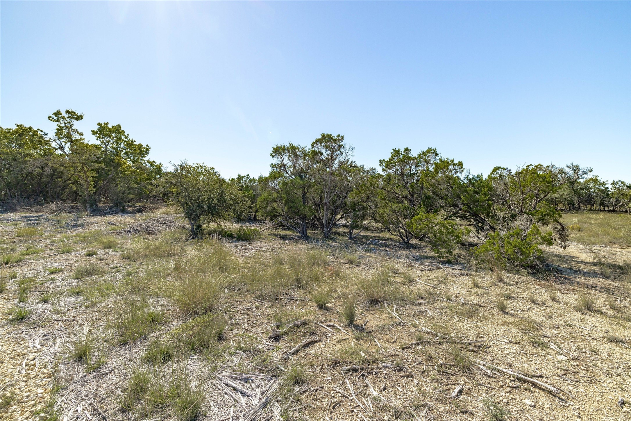 281 County Road 281 Leander, TX 78641 - Photo 8 of 31 a view of a field with trees in background