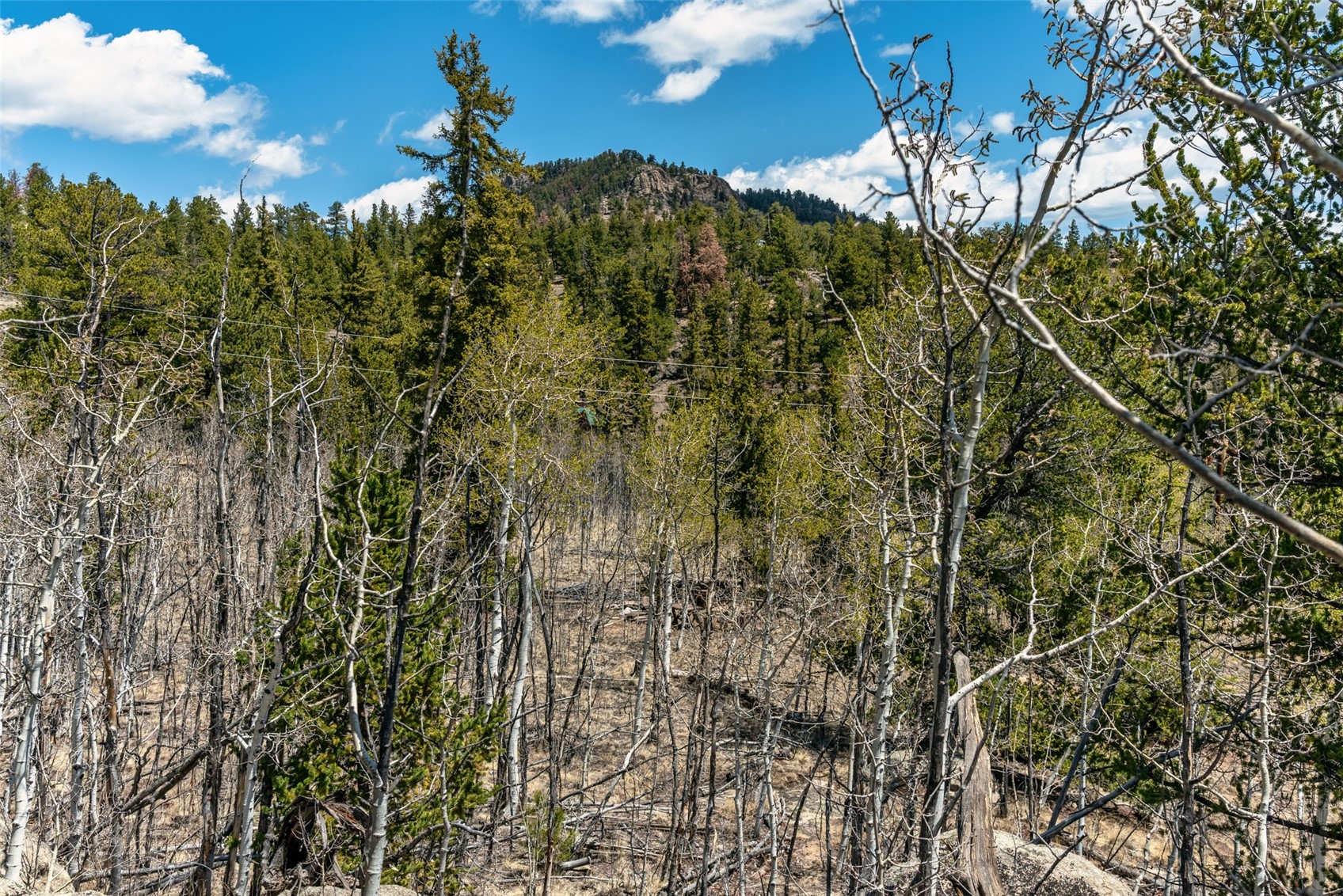 360 Musket Lane Como, CO 80456 - Photo 43 of 46