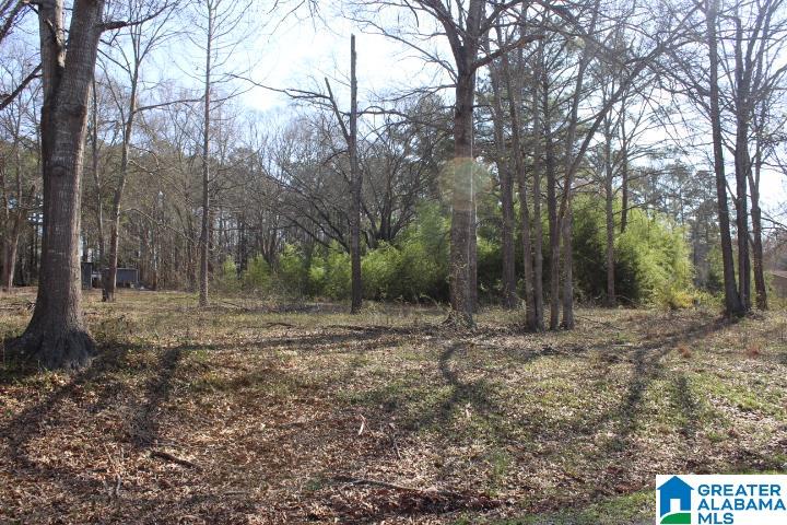 Cove Road, Unit 20 Wilsonville, AL 35186 - Photo 1 of 1