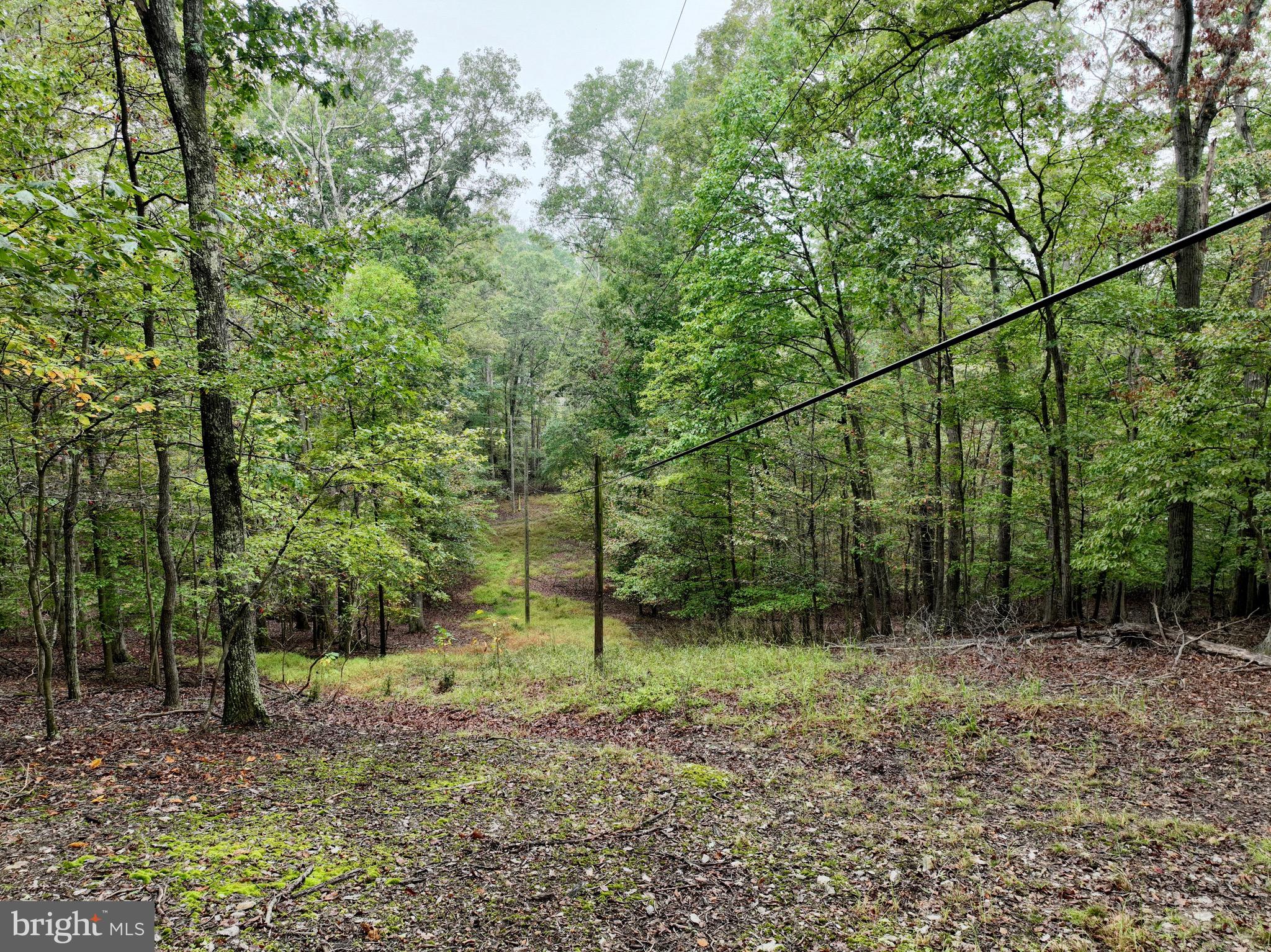 0 Burnside Bridge Road Keedysville, MD 21756 - Photo 18 of 40 a view of a forest
