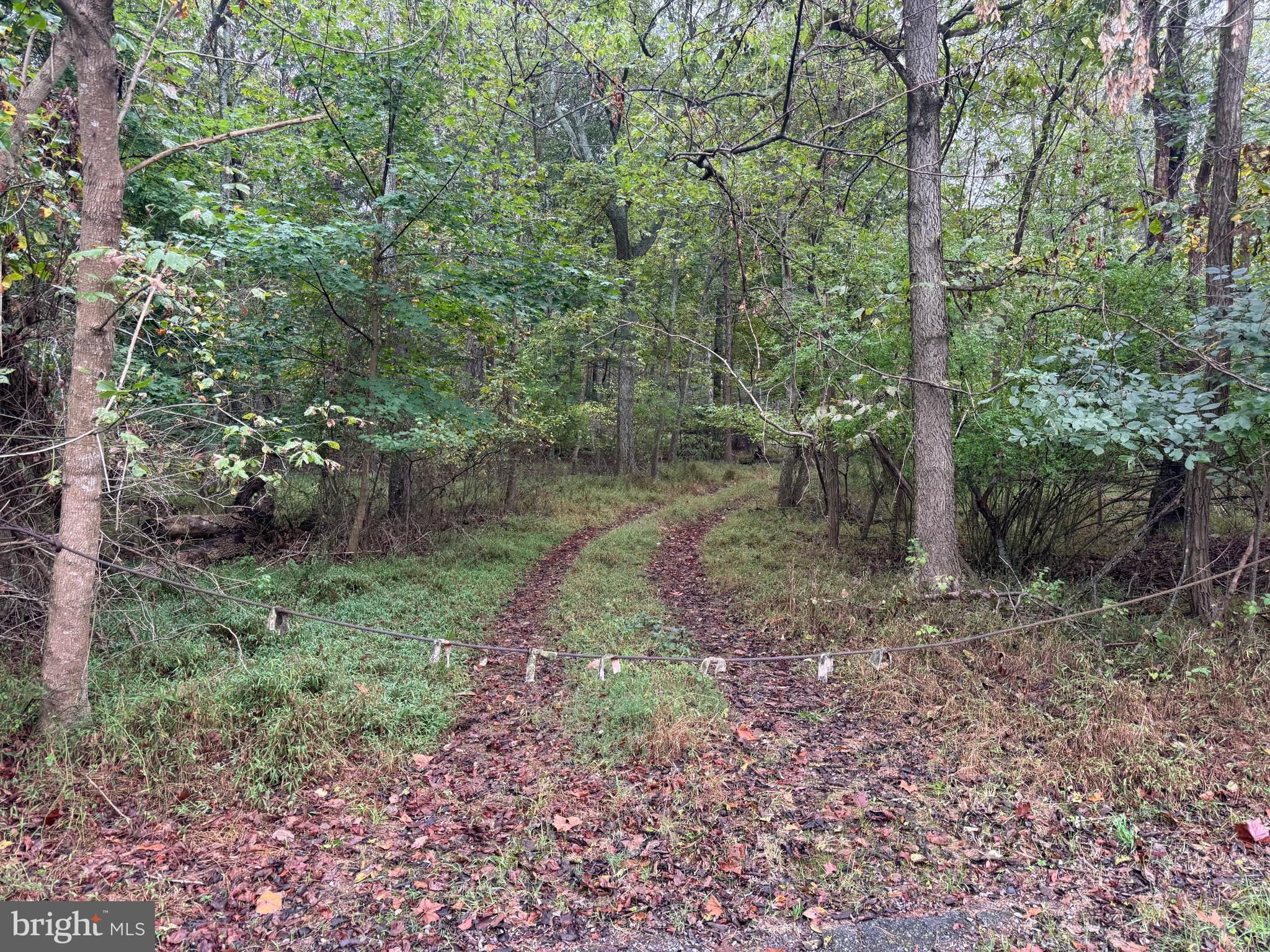 0 Burnside Bridge Road Keedysville, MD 21756 - Photo 3 of 40 a view of a forest with trees