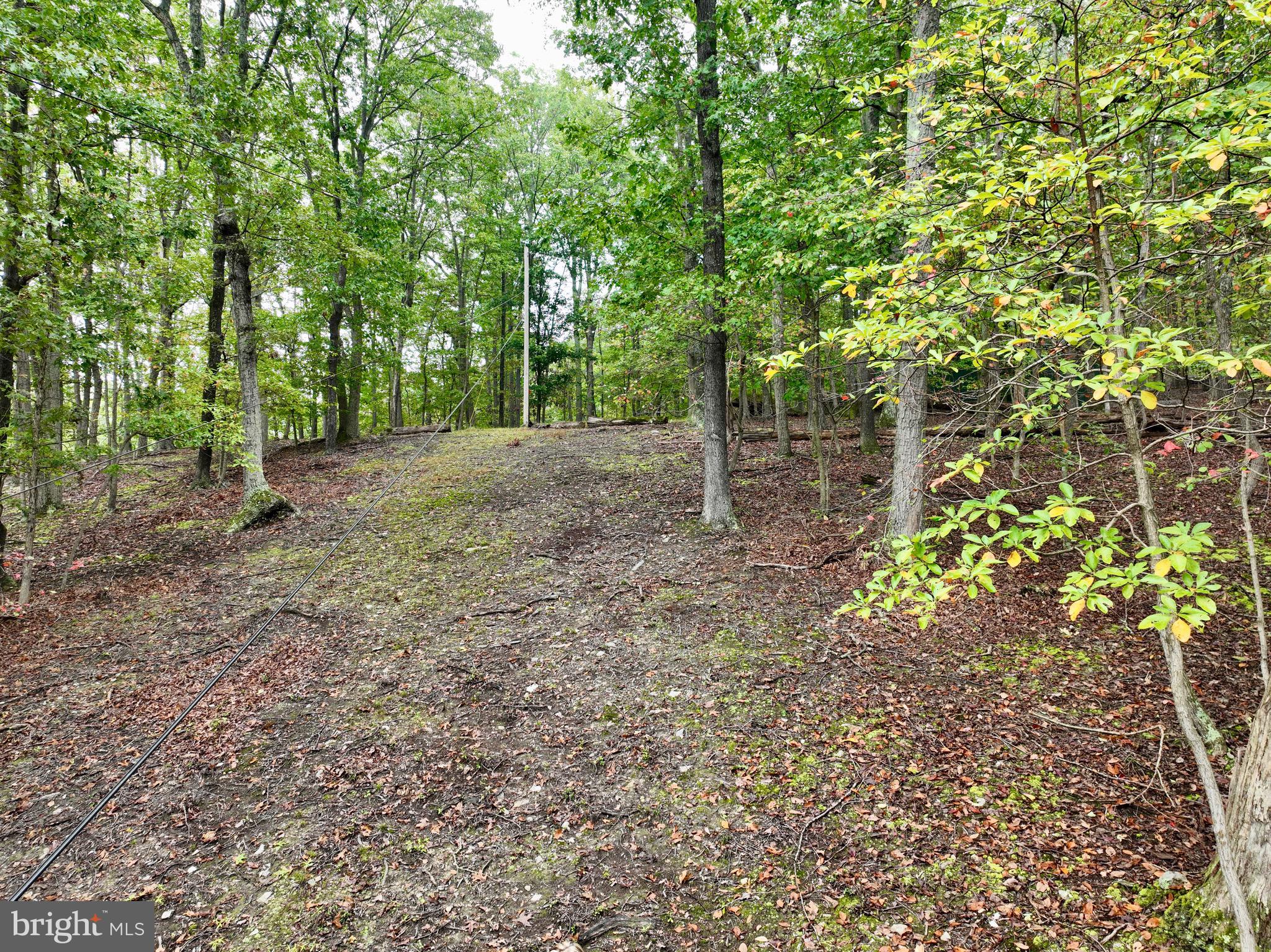 0 Burnside Bridge Road Keedysville, MD 21756 - Photo 36 of 40 a view of a forest with trees in the background