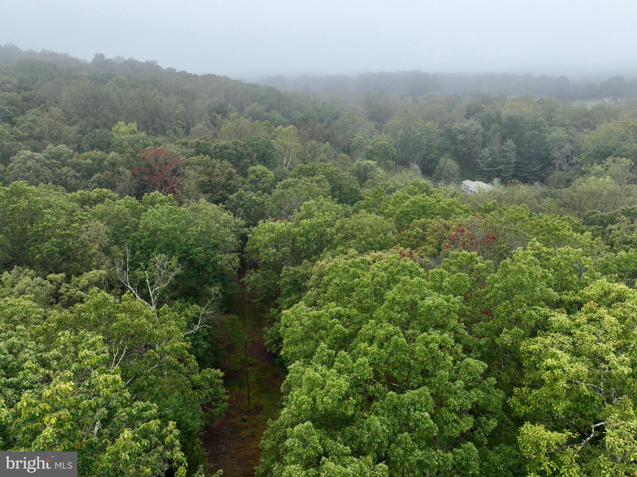 0 Burnside Bridge Road Keedysville, MD 21756 - Photo 4 of 40 an aerial view of residential houses with outdoor space and trees