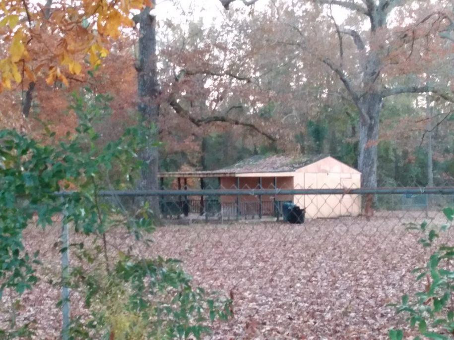 7106 Salley Road North, SC 29112 - Photo 27 of 32