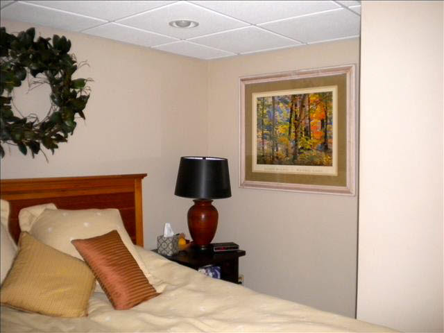 3693 Vivian Road Monroe, MI 48162 - Photo 15 of 20 20431025-14.JPG